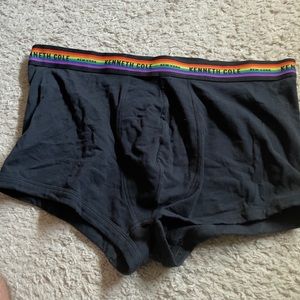 Kenneth Cole Pride Trunks